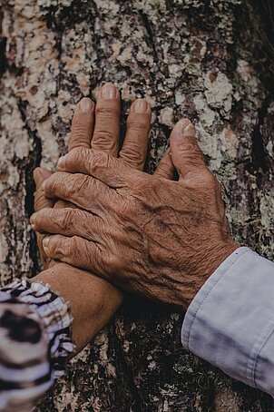 2 mains agées l'une sur l'autre sur un arbre